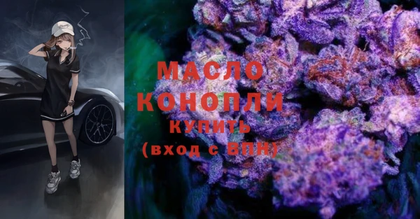 ECSTASY Ельня