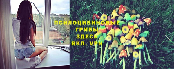 дживик Вязники