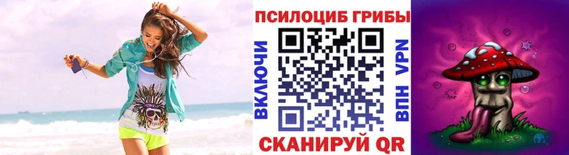 Галлюциногенные грибы Cubensis  Лыткарино 